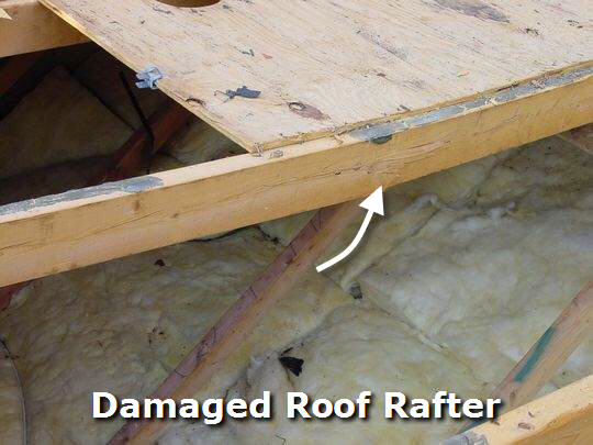 Roof rafter repair Roof rafter repair